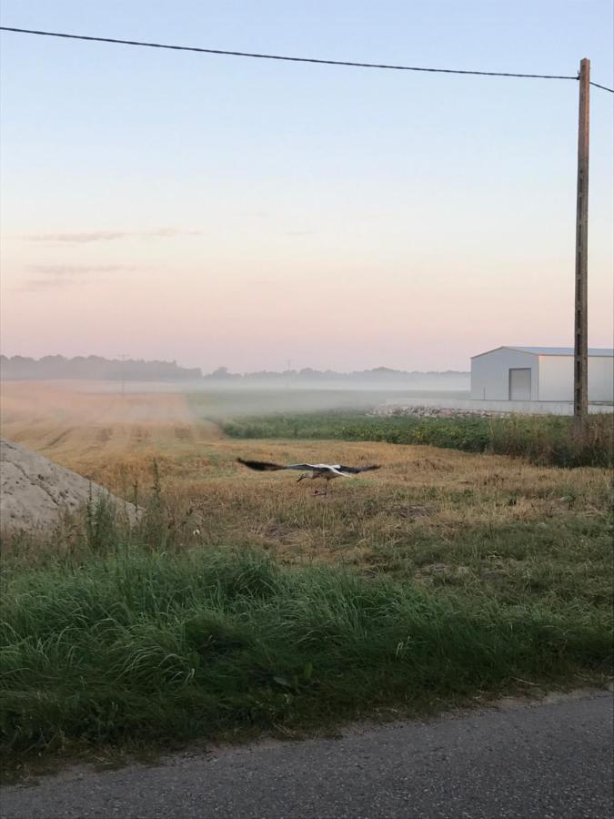 Apartmán Mazur 35 Szyldak Exteriér fotografie